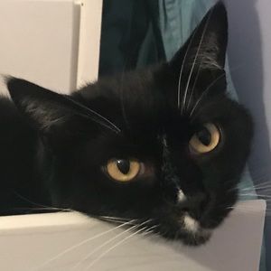 Meet your Posher, Emma